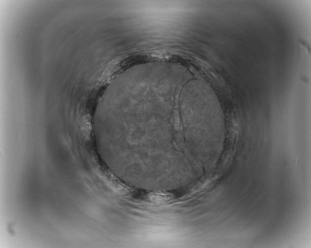 X0000100220707200805301347
