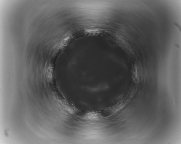 X0000100220708200805301347
