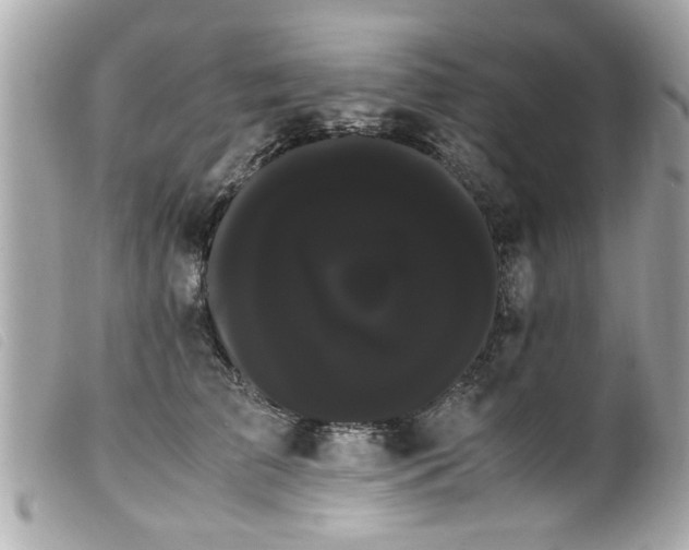 X0000100220709200805301347