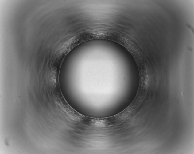 X0000100220710200805301347