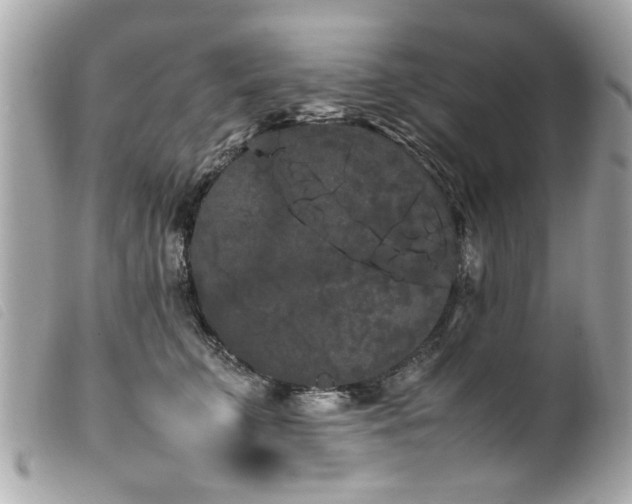 X0000100220711200805301347