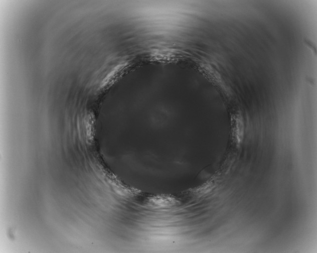 X0000100220712200805301347