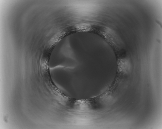 X0000100220713200805301347