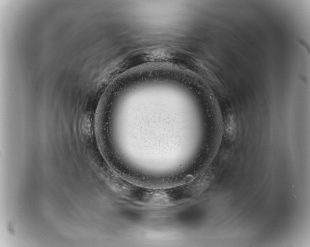 X0000100220715200805301347