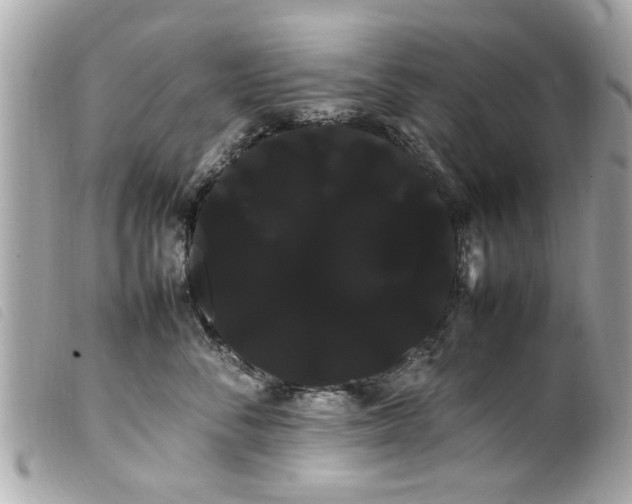 X0000100220716200805301347