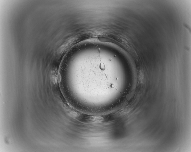 X0000100220719200805301347