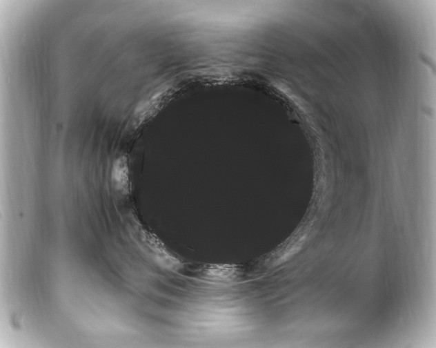 X0000100220720200805301347