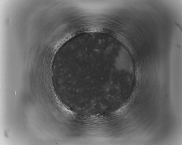 X0000100220721200805301346