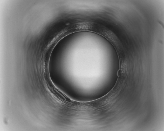 X0000100220722200805301346