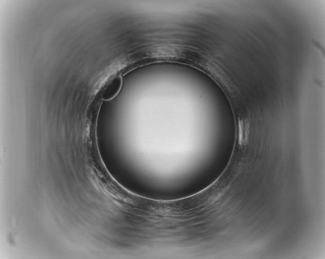 X0000100220723200805301346