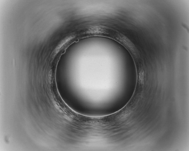 X0000100220724200805301346