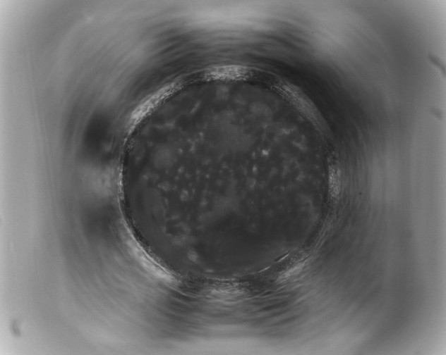 X0000100220725200805301346