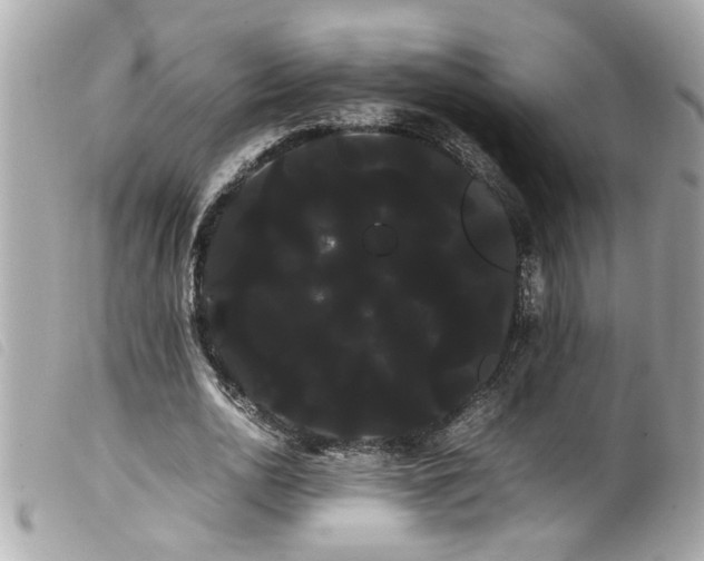X0000100220726200805301346