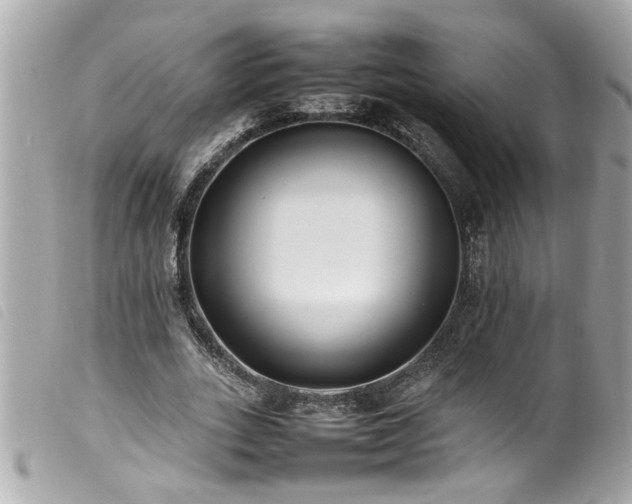 X0000100220727200805301346