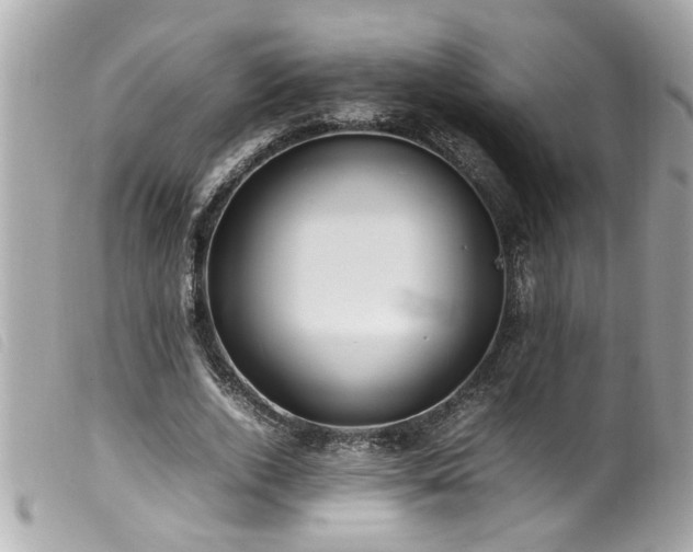 X0000100220728200805301346