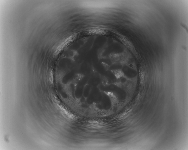 X0000100220729200805301346