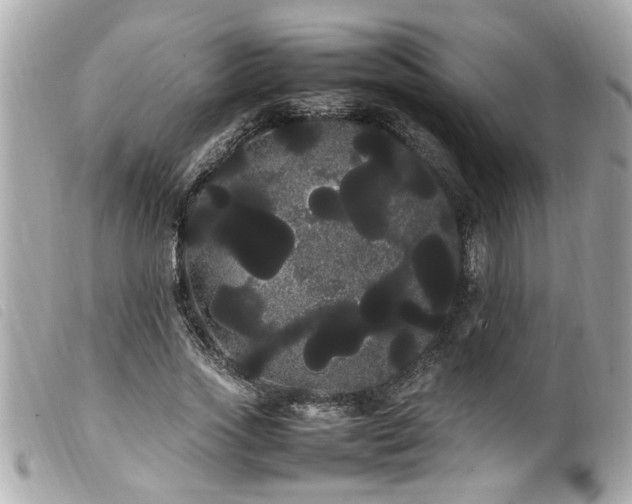 X0000100220733200805301346