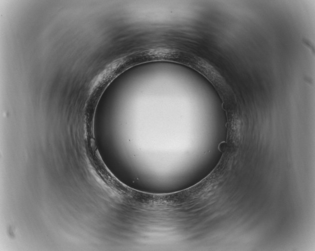 X0000100220734200805301346