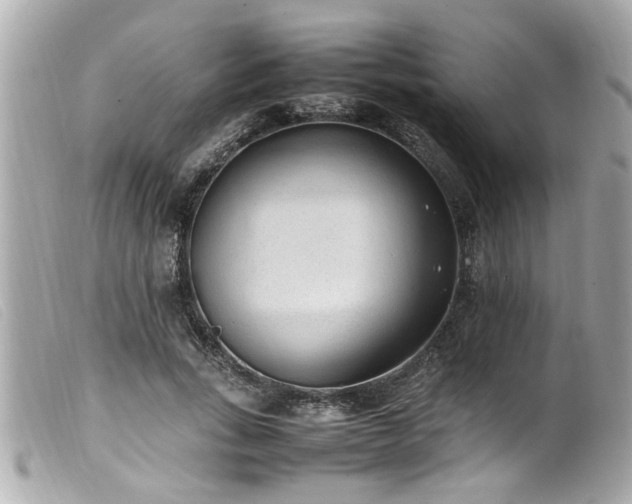 X0000100220735200805301346