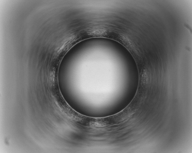 X0000100220739200805301346