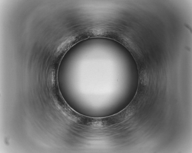 X0000100220740200805301346