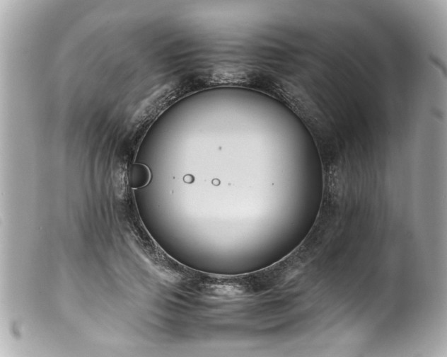 X0000100220741200805301346
