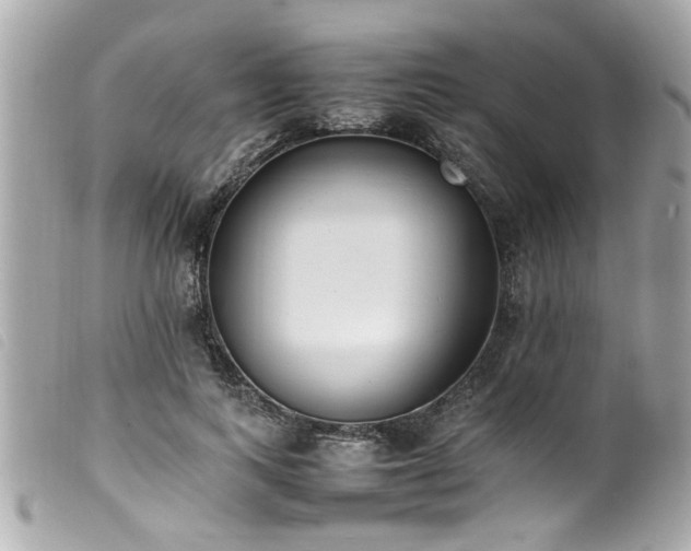 X0000100220743200805301346