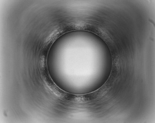 X0000100220744200805301346