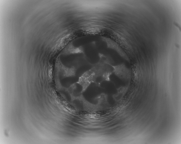 X0000100220745200805301346