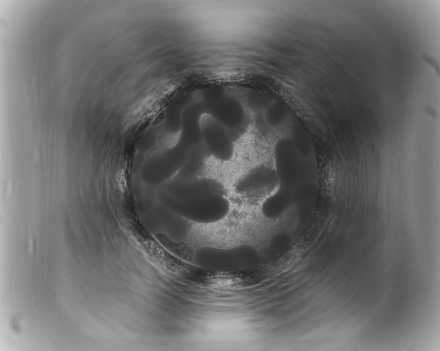X0000100220746200805301346