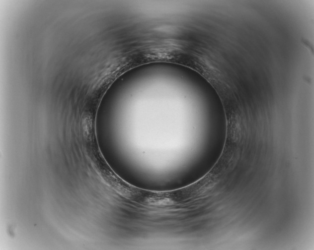 X0000100220747200805301346