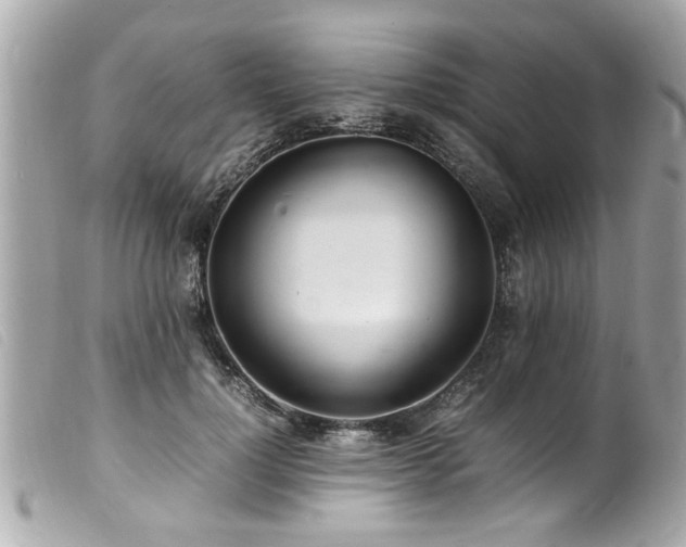X0000100220748200805301346