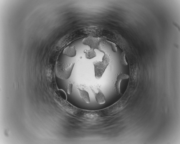 X0000100220749200805301346