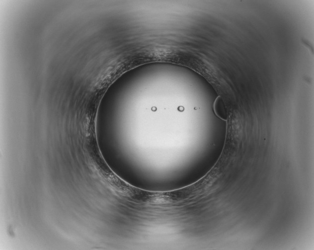 X0000100220750200805301346