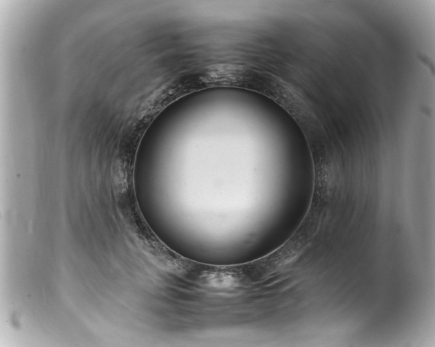 X0000100220751200805301346