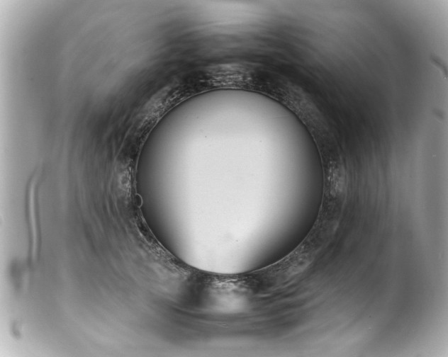 X0000100220753200805301346