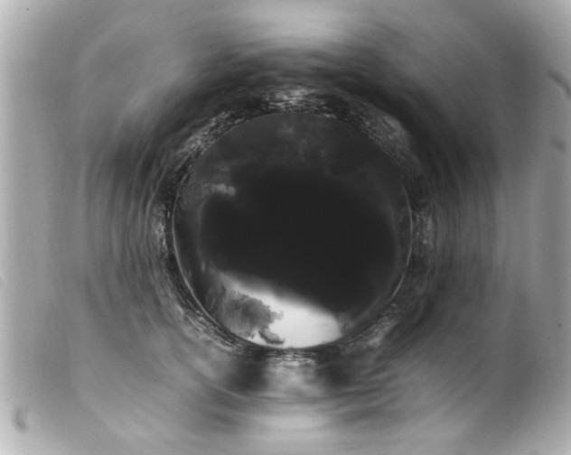 X0000100220754200805301346