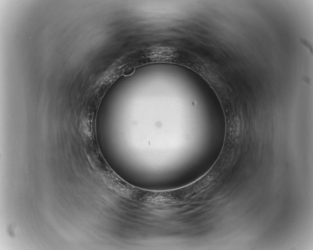 X0000100220755200805301346
