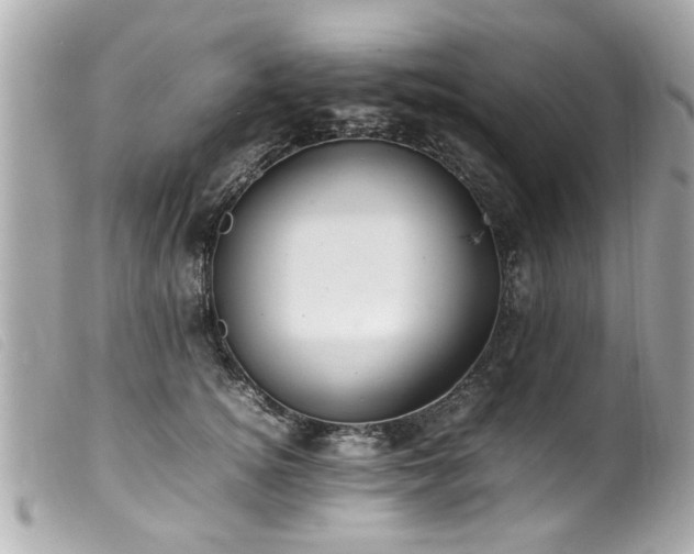 X0000100220756200805301346