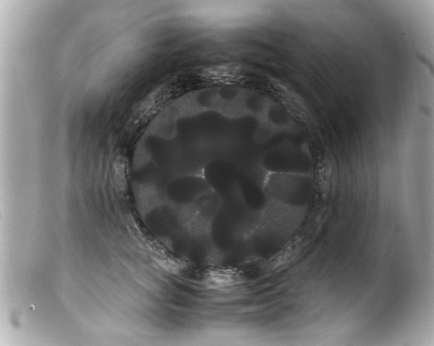 X0000100220757200805301346