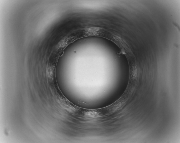 X0000100220759200805301346