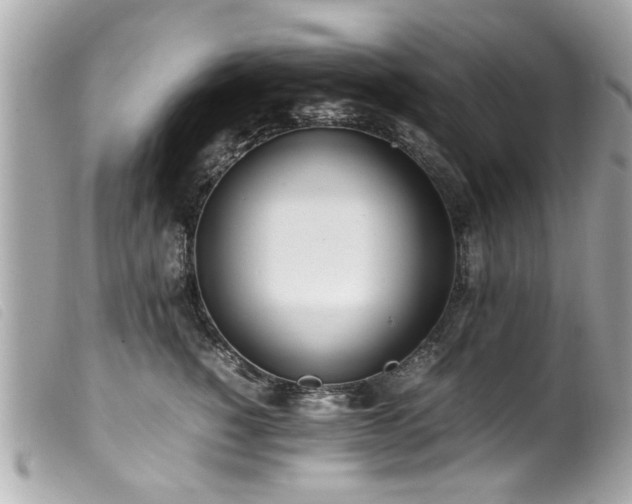 X0000100220760200805301346