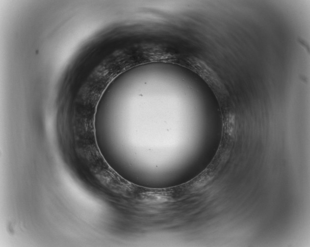 X0000100220763200805301346