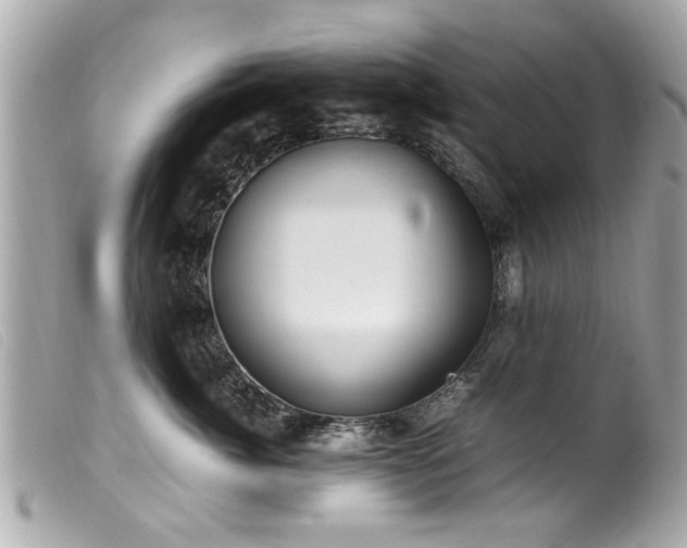 X0000100220764200805301346