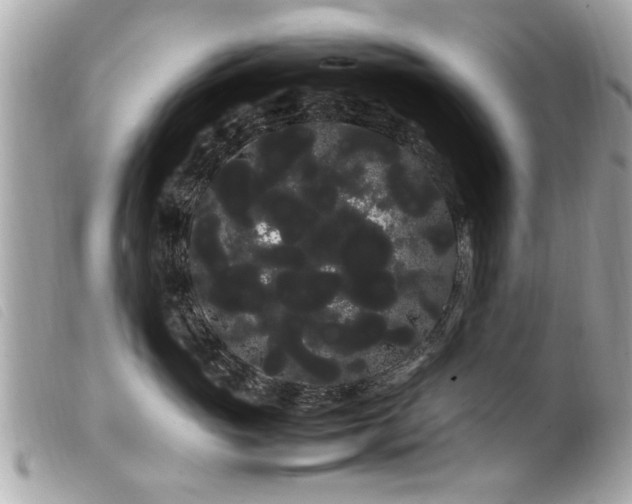 X0000100220765200805301347