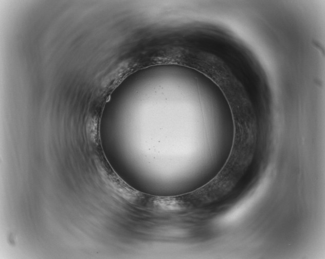 X0000100220767200805301347