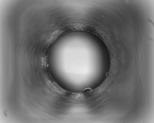 X0000100220768200805301347