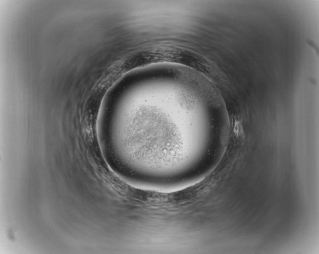X0000100220771200805301346