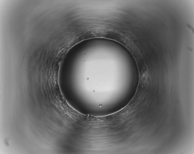 X0000100220772200805301346