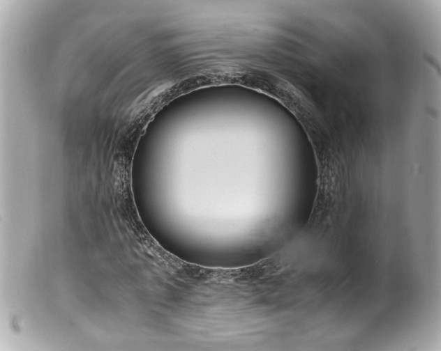 X0000100220773200805301346